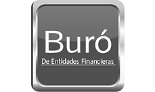 Buró de Instituciones Financieras
